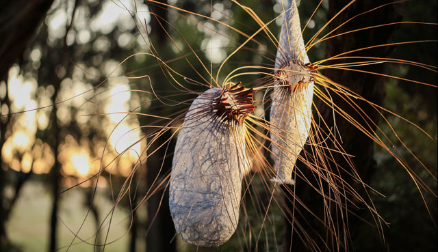 Jenny Crompton. Sea Country Spirits (detail), 2016. Recycled copper wire, shells, feathers, roo bones, grass tree fronds and paint.