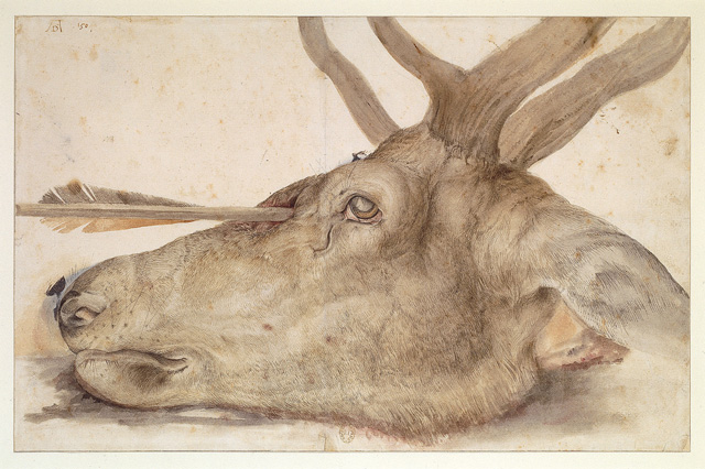Albrecht Dürer. Deer's head pierced with an arrow, 1504. Drawing and watercolour on paper, 25.2 x 39.2 cm. Paris, Bibliothèque nationale de France, département des Estampes et de la Photographie. Photograph © BnF, Dist. RMN-Grand Palais / image BnF.
