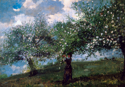 Winslow Homer (American, 1836-1910),<em> Girl Picking Apple Blossoms</em>. U.S.A., 1879. Brush and oil paint on canvas. Gift of Mrs. Charles Savage Homer, Jr., 1918-20-7. Photo: John Parnell