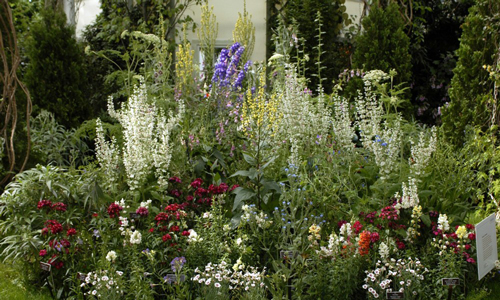 Re-creation of 19th-century New England flower garden (detail). 
        Emily Dickinson's Garden: The Poetry of Flowers. 
      Photo by Ivo M. Vermeulen.
