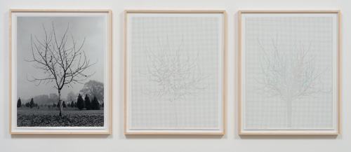 Charles Gaines. Walnut Tree Orchard, Set 4, 1975-2012. Mechanical pen on paper, photo. Triptych, 29 x 23 in each. Image courtesy of the Artist and Susanne Vielmetter Los Angeles Projects.