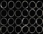 24 Circles on Black, 1993. Alexander Liberman papers, Archives of American art, Smithsonian Institution.