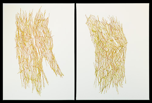 Jeanne Masoero. Magnetic Field IX (diptych), 2011 (from the series Infinite Complex of Surfaces). Acrylic on canvas, 81 x 61 cm.