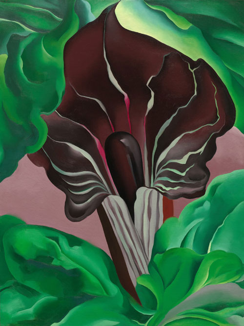 Georgia O'Keeffe. Jack-in-the-Pulpit No. 2, 1930. Oil on canvas. The National Gallery of Art, Washington © 2013 National Gallery of Art, Washington.