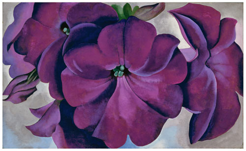 Georgia O’Keeffe, American (1887-1986). Petunias, 1925. Oil on board, 18 x 30 in. Fine Arts Museums of San Francisco, Museum purchase, Gift of the M. H. de Young Family, 1990.55. © Georgia O’Keeffe Museum/Artists Rights Society (ARS), New York.