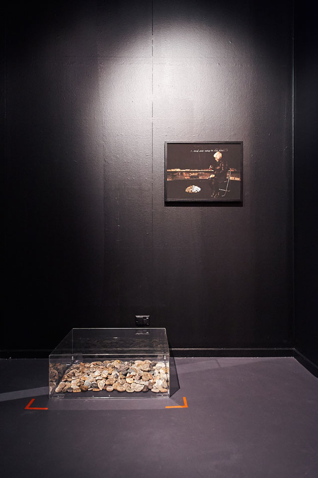 Hedy Ritterman. Touching Stones, 2016 and Henry’s Mother, 2015, presented at the Jewish Museum of Australia 2016-2017.