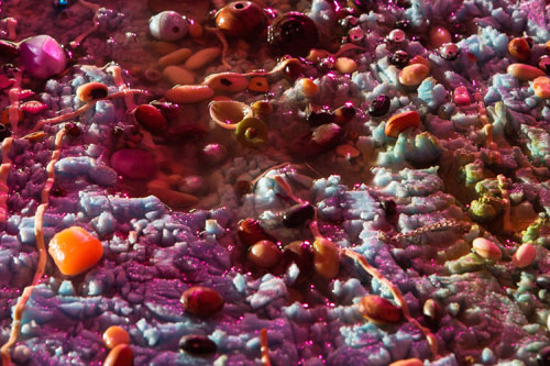 Samara Scott. Plebs, 2014 (detail). Insulation foam, water, watercolour, spaghetti, noodles, nail varnish, beads, beans, nuts. Courtesy of The Sunday Painter and the artist.